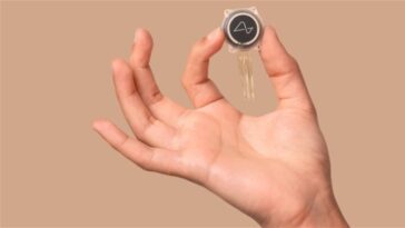 Problèmes pour Neuralink : la première puce implantée dans un cerveau humain se détache
