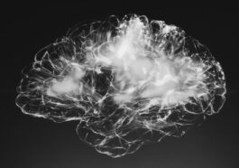 Neuralink reçoit l'approbation de la FDA pour un deuxième implant de puce cérébrale humaine 36 Neuralink receives FDA approval for second human brain chip implant