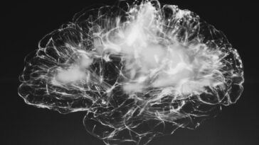 Neuralink reçoit l'approbation de la FDA pour un deuxième implant de puce cérébrale humaine 1 Neuralink receives FDA approval for second human brain chip implant