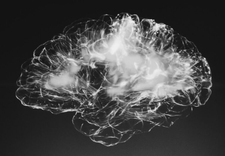 Neuralink reçoit l'approbation de la FDA pour un deuxième implant de puce cérébrale humaine 1 Neuralink receives FDA approval for second human brain chip implant