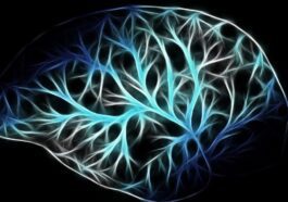 Peut-être avons-nous compris ce qui se passe dans le cerveau pendant l'anesthésie générale 9 Immagine