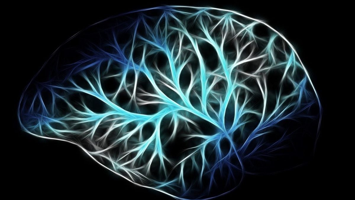 Peut-être avons-nous compris ce qui se passe dans le cerveau pendant l'anesthésie générale 2 Immagine