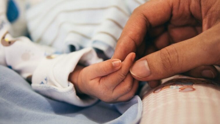 Qu'est-ce que la coqueluche, quels sont les symptômes et pourquoi les cas augmentent-ils chez les enfants 1 Immagine