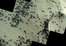ESA | Les images des araignées colossales qui ont été vues à la surface de Mars
