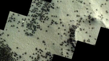 Résolu le mystère des araignées colossales photographiées sur Mars : qu'est-ce qu'elles sont réellement 15 ESA | Les images des araignées colossales qui ont été vues à la surface de Mars