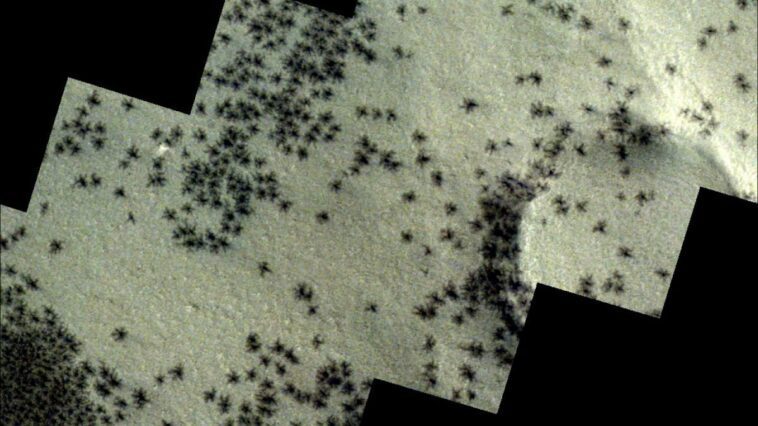 Résolu le mystère des araignées colossales photographiées sur Mars : qu'est-ce qu'elles sont réellement 1 ESA | Les images des araignées colossales qui ont été vues à la surface de Mars