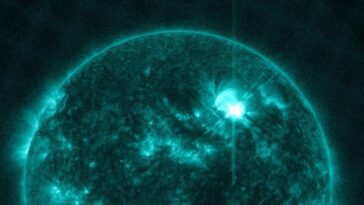 Violentes éruptions de classe X sur le Soleil : black-out et possibles tempêtes géomagnétiques sur la Terre 29 Crédit : SDO /AIA