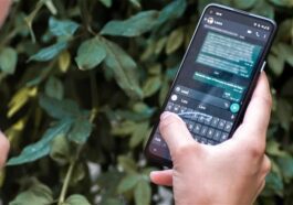 WhatsApp teste une fonction pour créer des photos de profil en utilisant l'IA générative