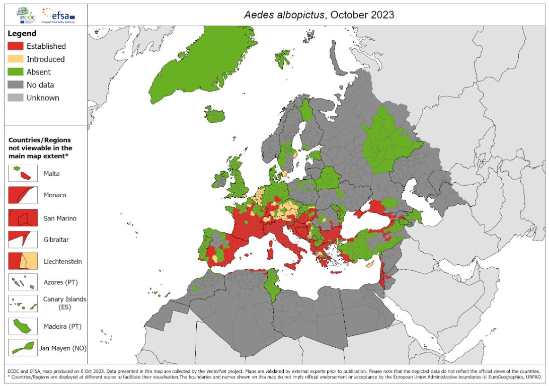 Moustiques en forte augmentation en Europe, le risque de Dengue et de West Nile augmente 3 Diffusione della zanzara tigre (Aedes albopictus) al 6 ottobre 2023 / Credit: ECDC