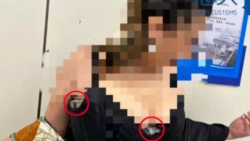 Smuggler goes for high score, stuffs 350 Nintendo Switch games in her bra