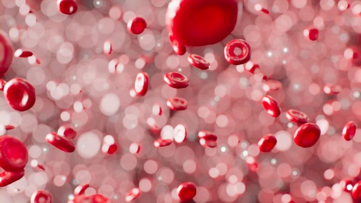 Un examen ophtalmologique peut prédire le risque de crise cardiaque dans 10 ans grâce à l'IA 3 Sangue