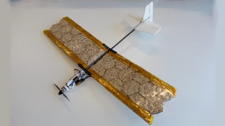 Batteries, capteurs et actionneurs comestibles. Des robots conçus pour être mangés arrivent 5 1718877157 419 Batteries capteurs et actionneurs comestibles Des robots concus pour etre