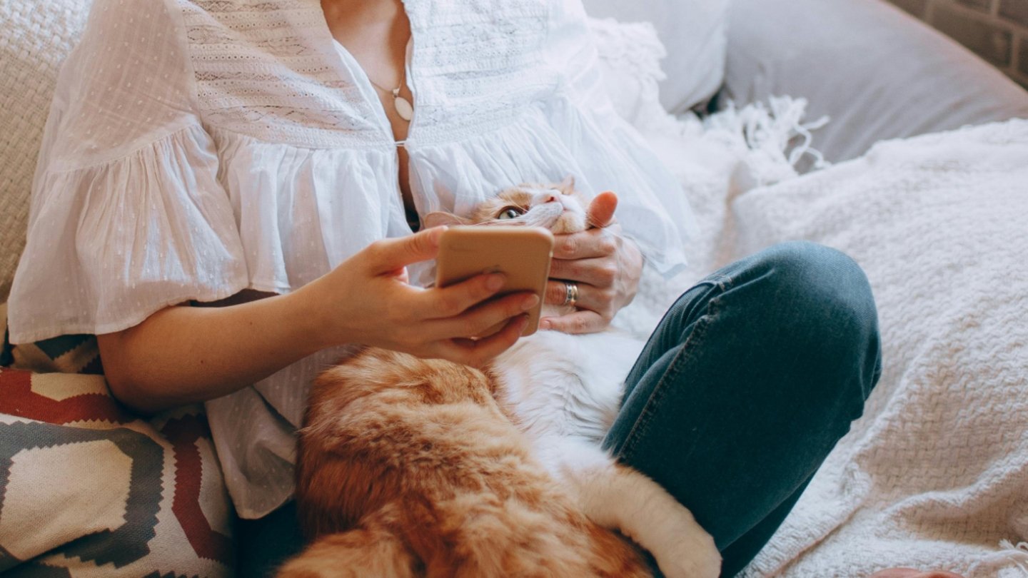 Femme avec un téléphone portable et un chat
