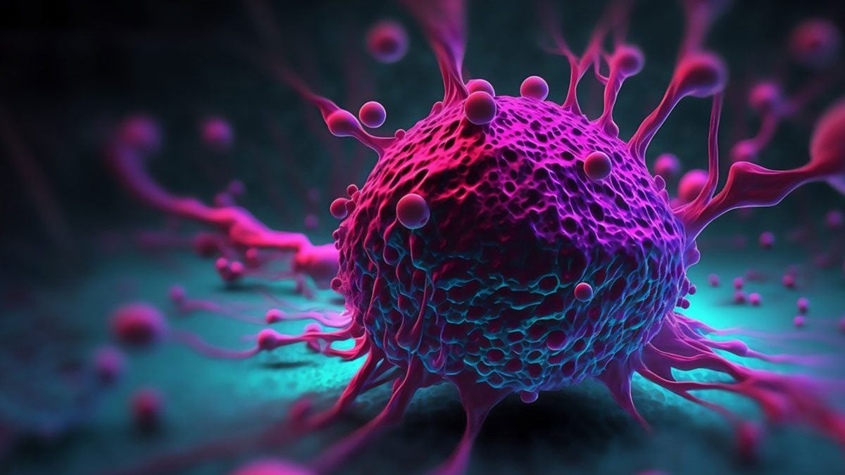 Ce qui se cache derrière l'augmentation des cas de cancer du côlon chez les jeunes, nouveaux indices des bactéries intestinales 2 Immagine