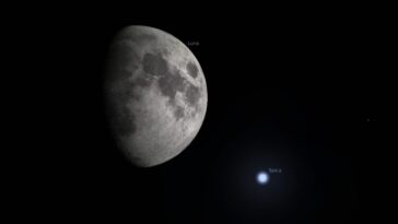 Ce soir, le magnifique "baiser" entre la Lune et l'étoile Spica : visible à l'œil nu 2 Stasera il magnifico “bacio” tra la Luna e la stella Spica: sarà visibile a occhio nudo