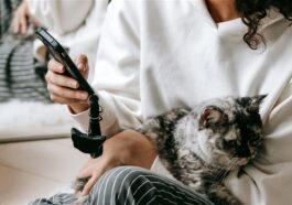 Cette application utilise l'intelligence artificielle pour détecter la douleur chez les chats : succès au Japon 68 Cette application utilise l'intelligence artificielle pour détecter la douleur chez les chats : un succès au Japon