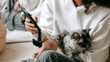 Cette application utilise l'intelligence artificielle pour détecter la douleur chez les chats : succès au Japon 15 Cette application utilise l'intelligence artificielle pour détecter la douleur chez les chats : un succès au Japon
