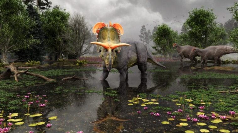 Découverte d'une nouvelle espèce de dinosaure avec des cornes 1 Evolutionsmuseet, Knuthenborg | Reconstruction de Fabrizio Lavezzi