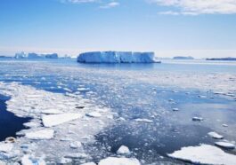 Découverts pour la première fois des virus géants actifs dans l'Arctique: qu'est-ce que les Ncldv 9 Immagine