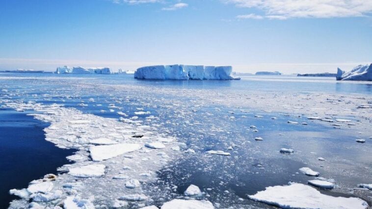 Découverts pour la première fois des virus géants actifs dans l'Arctique: qu'est-ce que les Ncldv 1 Immagine