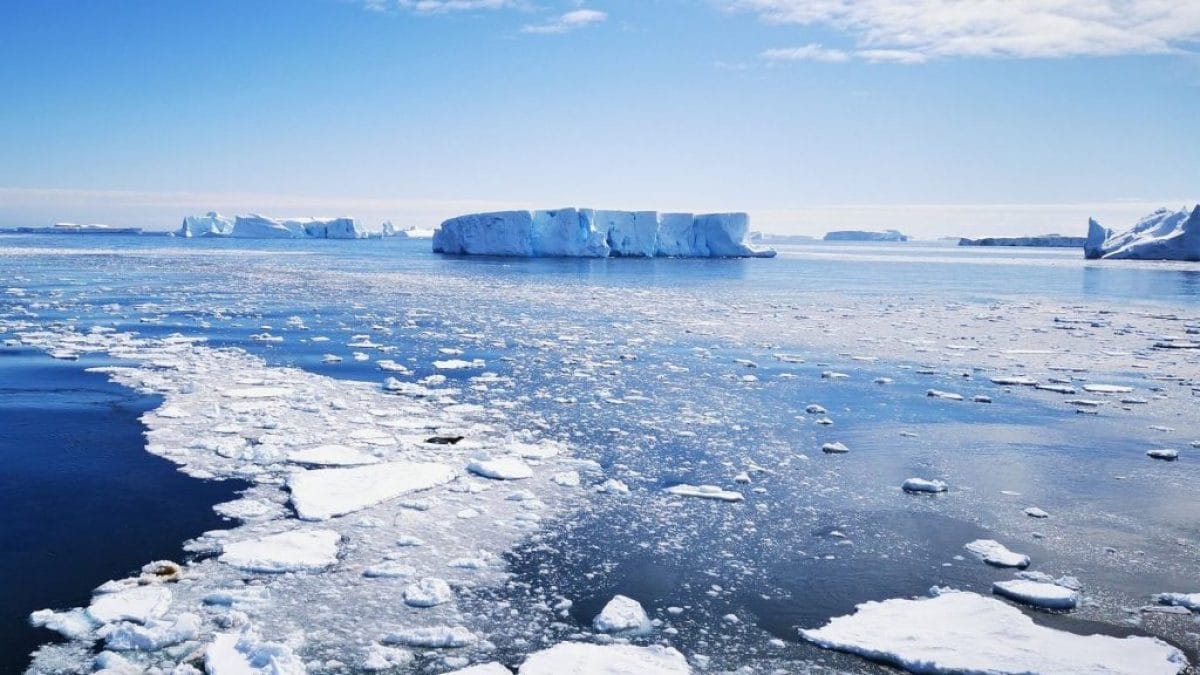 Découverts pour la première fois des virus géants actifs dans l'Arctique: qu'est-ce que les Ncldv 2 Immagine