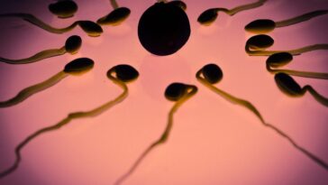 Effondrement des spermatozoïdes et risque d'infertilité mondiale en 2060: nouvelle étude 9 Immagine