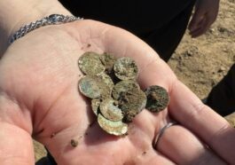 Femme aveugle découvre un trésor médiéval en se promenant, plus de 2 000 pièces trouvées: "Comme un jackpot" 39 Crédit: ARCHEOLOGICKÝ ÚSTAV AV ČR