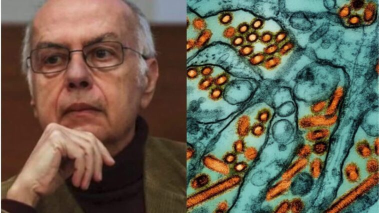 Virus de la grippe aviaire H5N1: quels sont les risques en cas de contagion d'homme à homme 1 Image