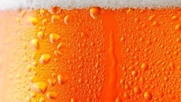 Ivre sans boire une goutte d'alcool, elle découvre qu'elle a le syndrome de production de bière 29 Immagine