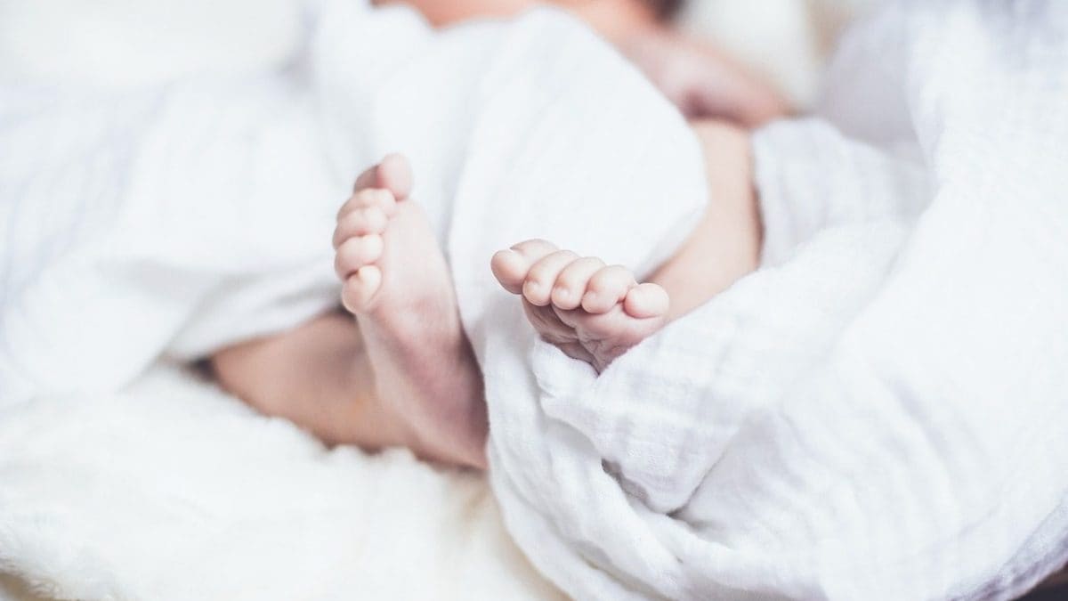 L'impact atroce de l'interdiction de l'avortement au Texas: augmentation élevée des décès infantiles et des anomalies congénitales 2 Immagine