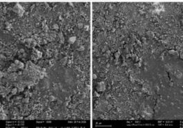 Microplastiques trouvés dans le tissu pénien. Crédit: International Journal of Impotence Research (IJIR)
