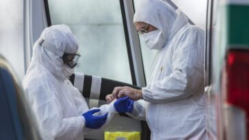 Pandémie de grippe aviaire est une question de temps, mortalité jusqu'à 50%: l'alarme du virologue 20 Immagine
