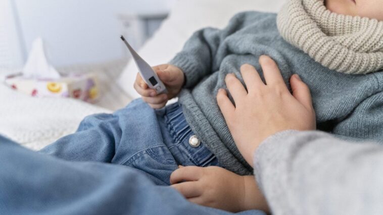 Qu'est-ce que l'éruption des joues giflées : les symptômes de la cinquième et sixième maladie expliqués par le pédiatre 1 Image