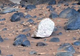 La strana roccia scoperta su Marte. Credit: NASA/JPL-Caltech/ASU/MSSS