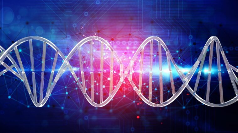 Un bypass pour modifier l'ADN: comment fonctionne la nouvelle technique d'édition pour les maladies génétiques 1 Image