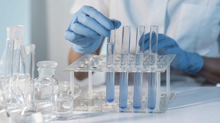 Un médicament à base de plantes peut améliorer le syndrome des ovaires polykystiques: les résultats de l'étude 1 Immagine