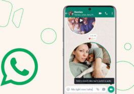 WhatsApp mensagens vídeo resposta
