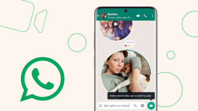 WhatsApp veut que vous utilisiez davantage les messages vidéo et sait déjà comment faire 1 WhatsApp mensagens vídeo resposta