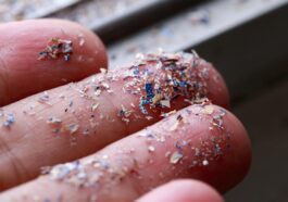 Des scientifiques trouvent des microplastiques dans tous les spermatozoïdes humains, la mobilité des spermatozoïdes en danger 57 Micro Plastique