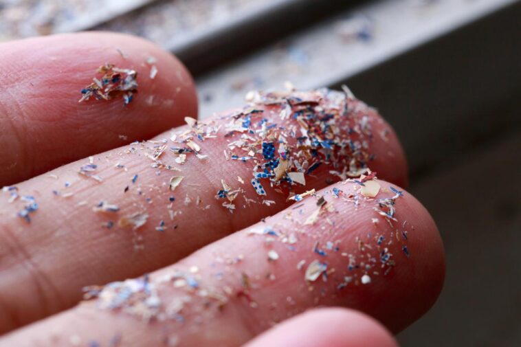 Des scientifiques trouvent des microplastiques dans tous les spermatozoïdes humains, la mobilité des spermatozoïdes en danger 1 Micro Plastique