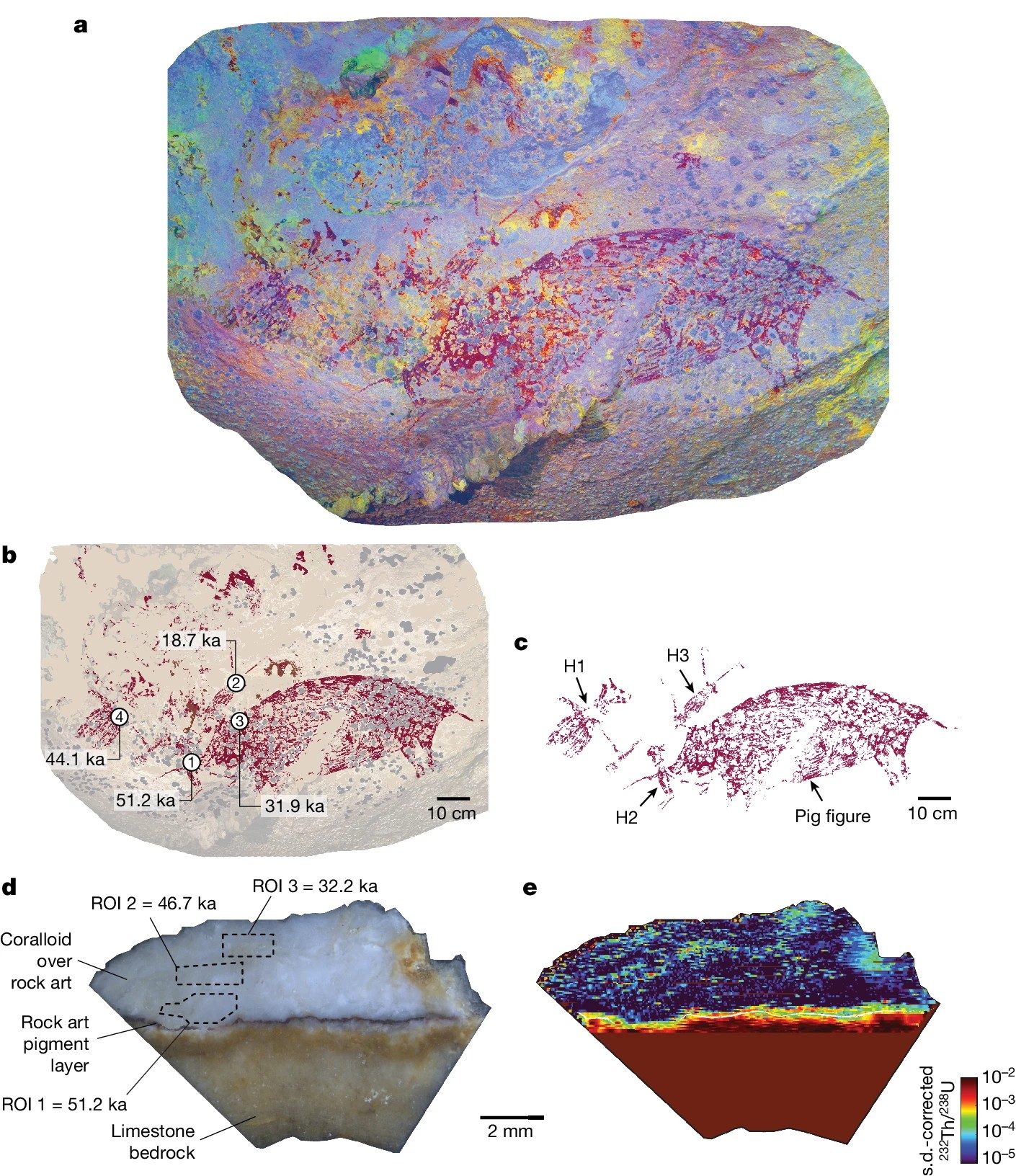 Cette peinture rupestre découverte en Indonésie est la plus ancienne de tous les temps: elle a au moins 51 200 ans 3 Crédit : Oktaviana et al., Nature, 2024