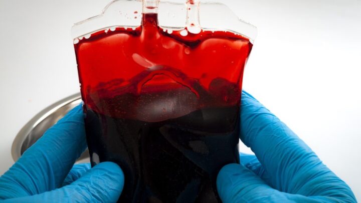 Des scientifiques identifient un nouveau groupe sanguin après 50 ans 2 Sangue