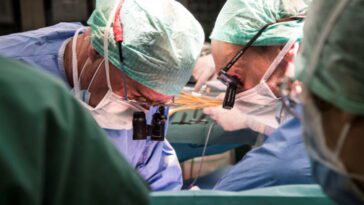 La deuxième personne à recevoir une greffe de rein de porc est décédée 15 Transplante de fígado