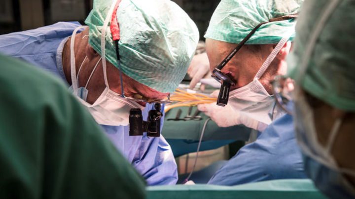 La deuxième personne à recevoir une greffe de rein de porc est décédée 1 Transplante de fígado