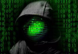 Google is opening its dark web reports to all users free of charge