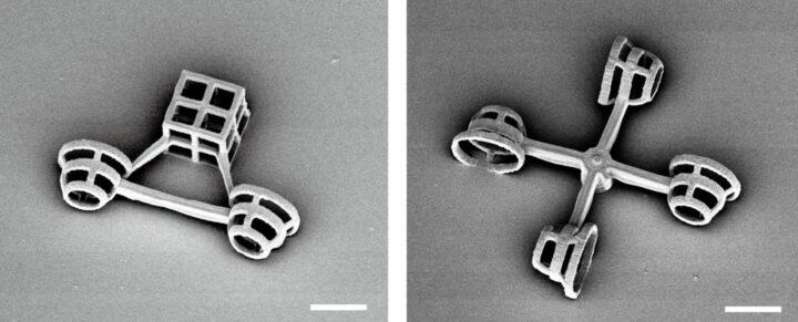 Ces véhicules minuscules sont conduits par quelque chose que vous n'imagineriez jamais 6 1720980969 647 Ces vehicules minuscules sont conduits par quelque chose que vous