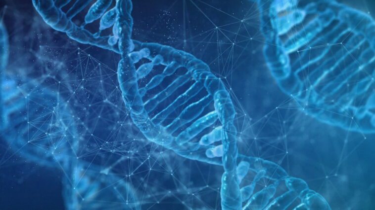 Des chercheurs veulent développer un système de stockage basé sur l'ADN en trois ans 1 Researchers want to develop a DNA-based storage system in three years