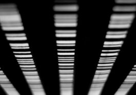 How a $36 barcode scanner sped up fixing the CrowdStrike chaos at Grant Thornton Australia