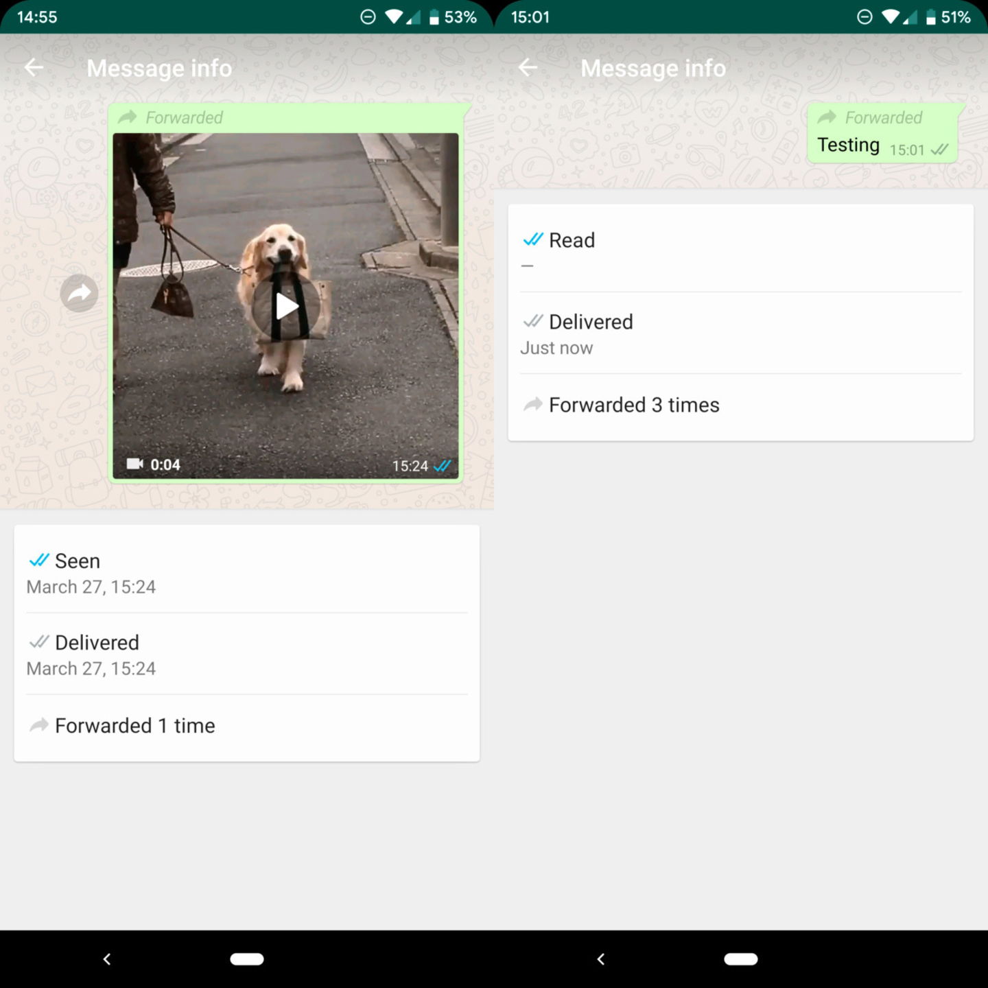 Comment savoir si un message WhatsApp a été transféré à quelqu'un 3 Indicateur qu'un message WhatsApp a été renvoyé