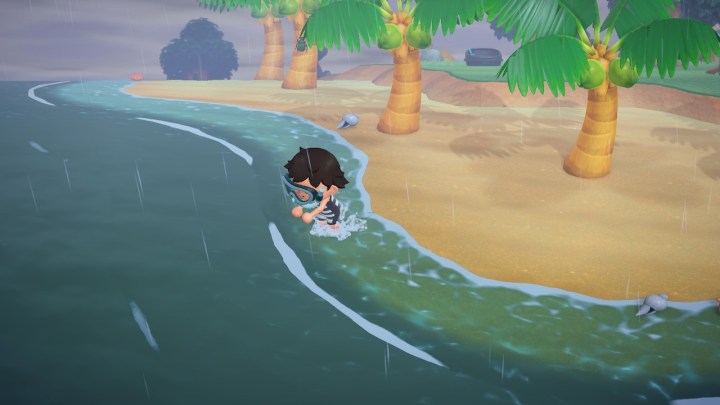 Animal Crossing New Horizons : Comment nager 3 1722394686 243 Animal Crossing New Horizons Comment nager